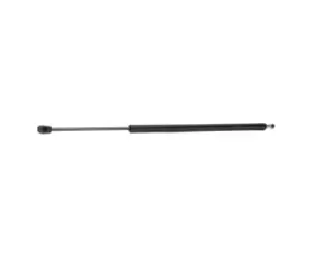 Image of RIDEX Tailgate strut CITROEN 219G0231 8731N9,9654438680