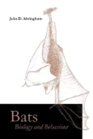 Image of bats biology and behaviour