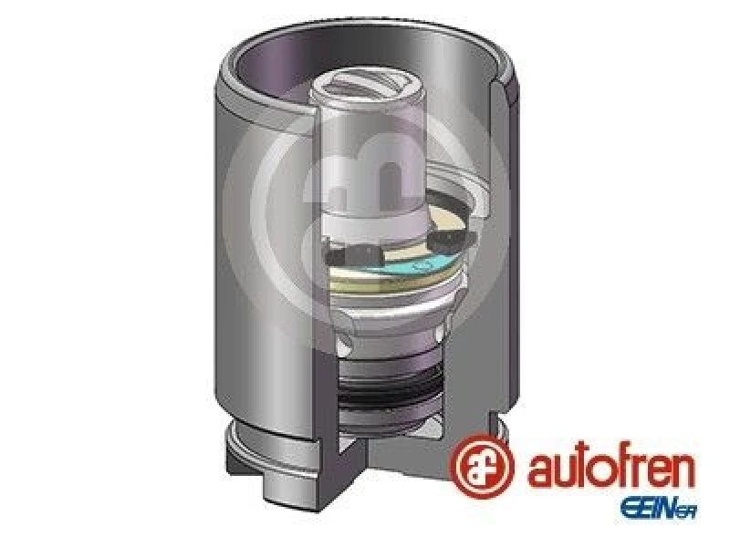 Image of AUTOFREN SEINSA Brake caliper piston AUTOFREN SEINSA D02578K