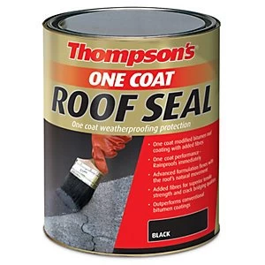 image of Thompsons One Coat Roof Seal - Black 5L