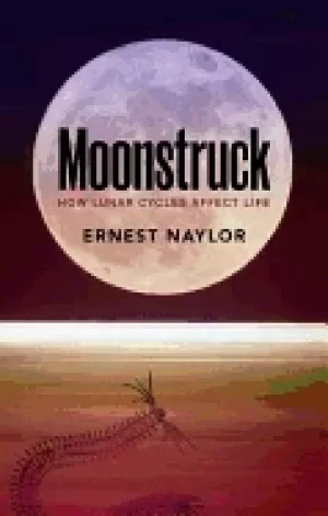Image of moonstruck how lunar cycles affect life