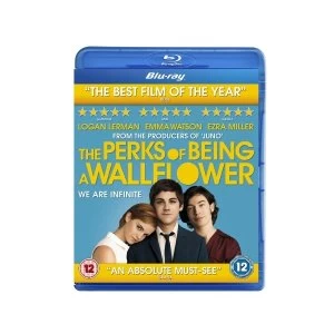 Image of The Perks of Being a Wallflower Bluray