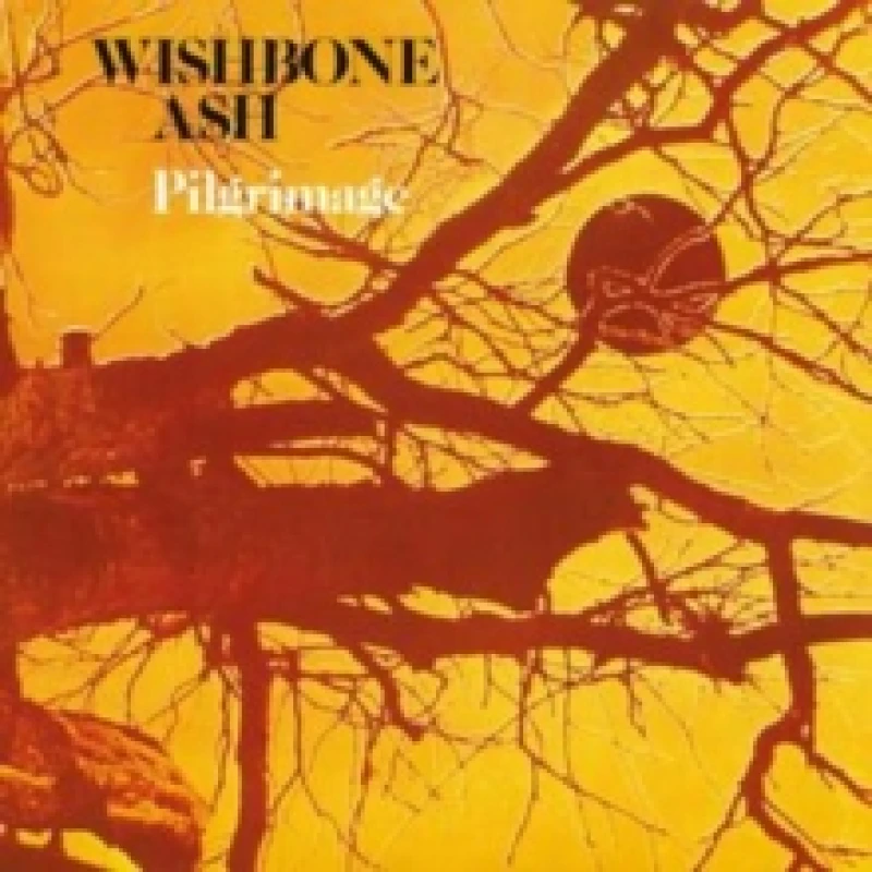 Image of Pilgrimage Vinyl