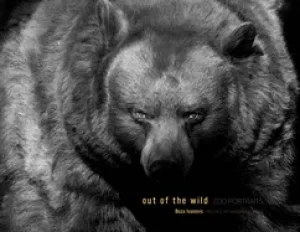 Image of out of the wild zoo portraits