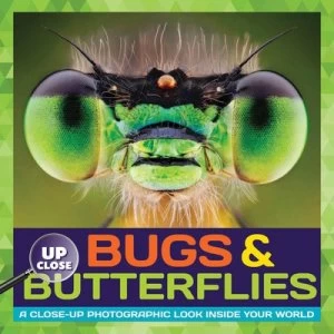 Image of Bugs and Butterflies by Heidi Fiedler Hardback