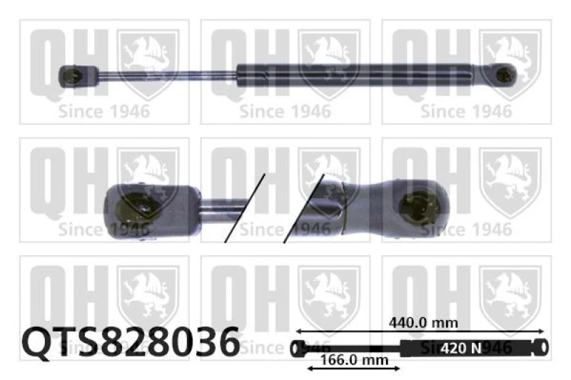 Image of QUINTON HAZELL Tailgate strut QUINTON HAZELL QTS828036