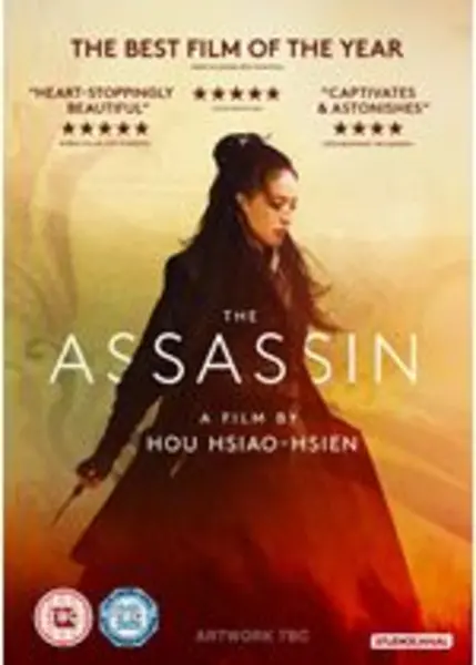 Image of The Assassin DVD - Arthouse & World Cinema
