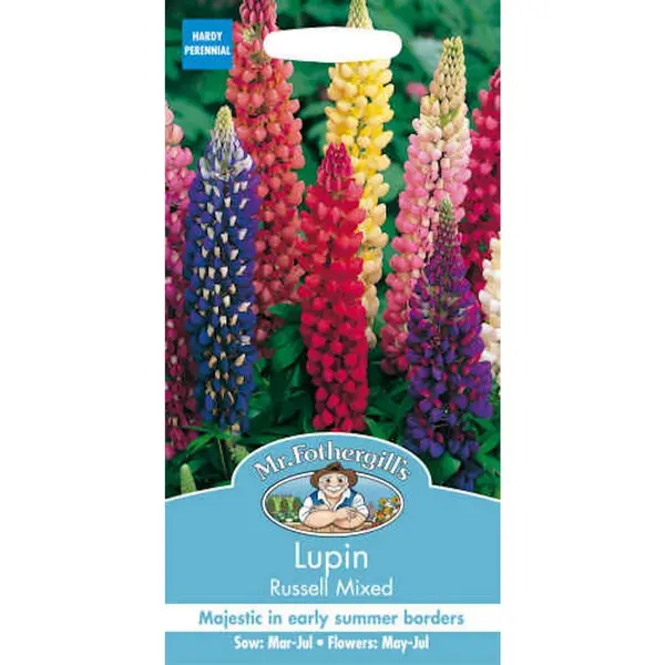 Image of Mr. Fothergill's Lupin Russell Mixed (Lupinus Polyphyllus) Seeds Multicoloured