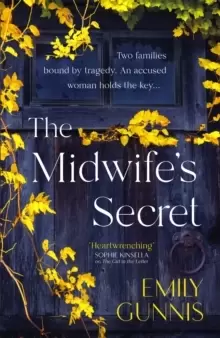 Image of The Midwife's Secret : The gripping, powerful and heartbreaking new page-turner