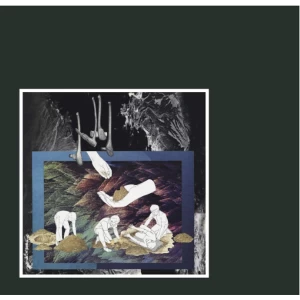 Image of Dont Give Your Life Vinyl