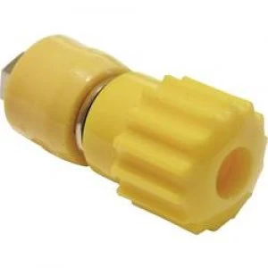 Image of Pole terminal Blue 16 A Schnepp