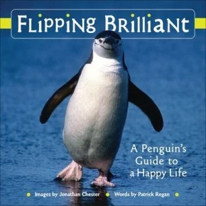 Image of Flipping Brilliant by Jonathan Chester Hardback