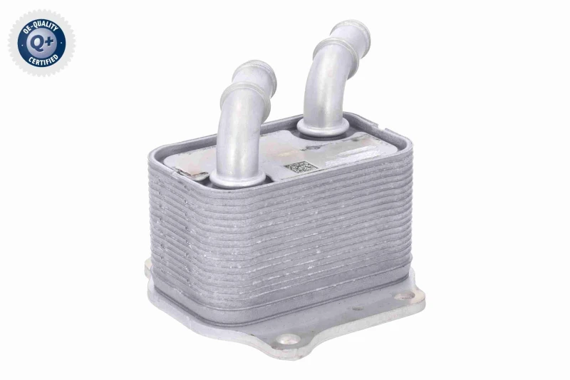 Image of ACKOJA Engine oil cooler ACKOJA A52-60-0024