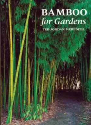 Image of Bamboo for gardens by Ted Jordan Meredith
