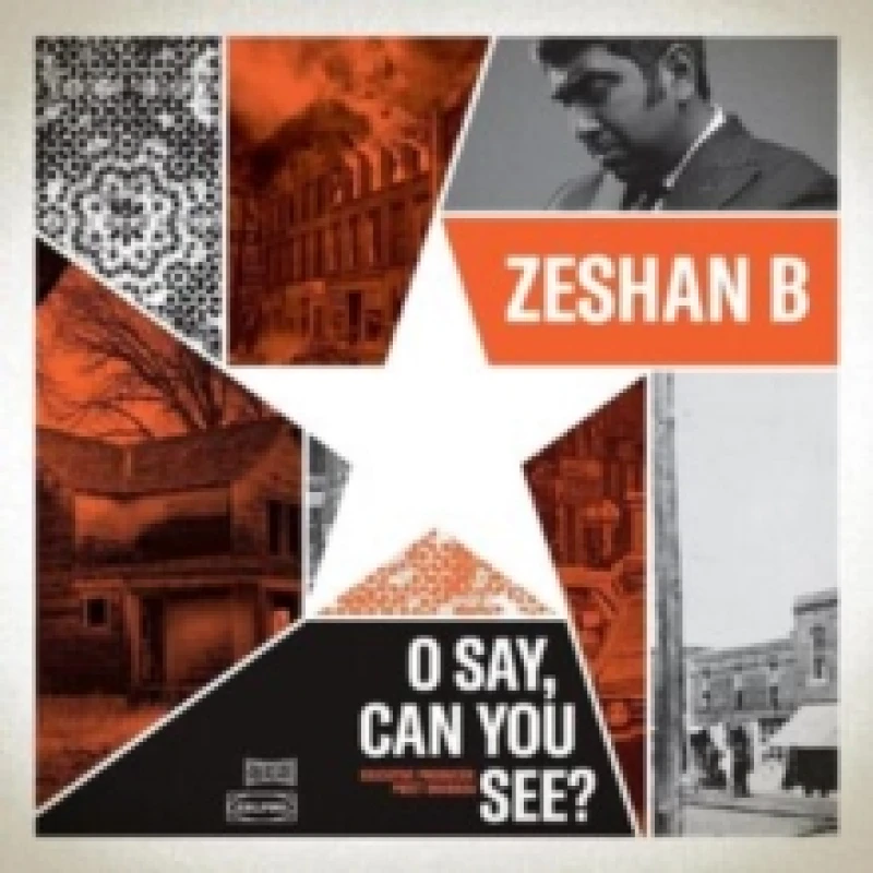 Image of O say, can you see? Vinyl