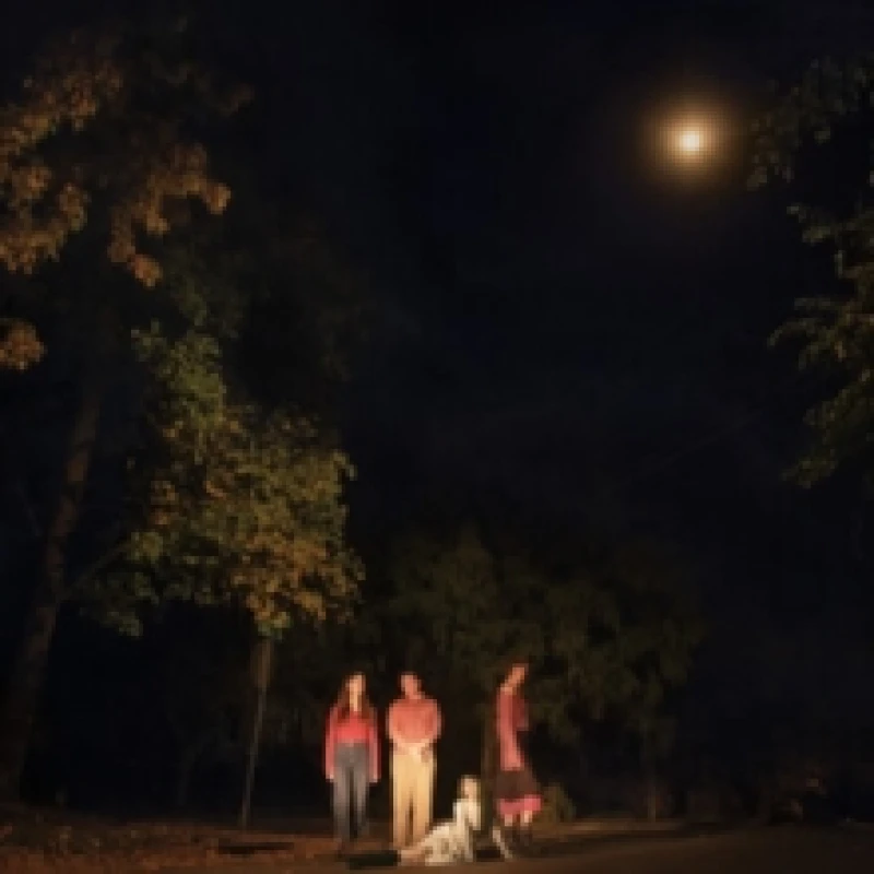 Image of Spring Grove Vinyl