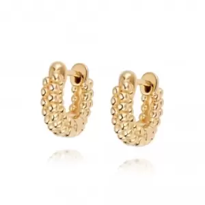 image of Dolly Huggie Hoop 18ct Gold Plate Earrings HUG04_GP