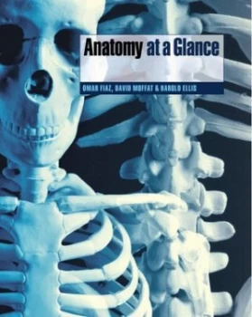 Image of Anatomy at a Glance by Omar Faiz Paperback