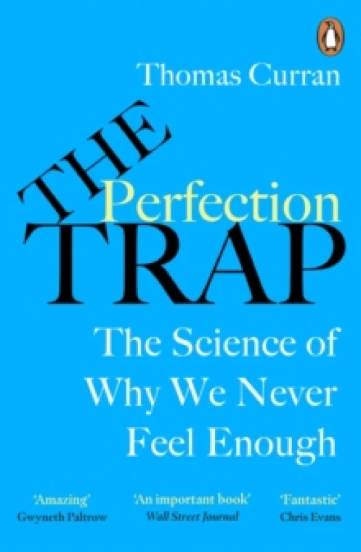 Image of The Perfection Trap : The Power Of Good Enough In A World That Always Wants More Paperback / softback
