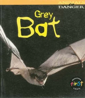 Image of Grey Bat by Rod Theodorou Hardback