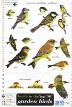 Image of Guide to the Top 50 Garden Birds Paperback