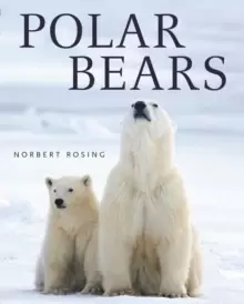 Image of Polar Bears