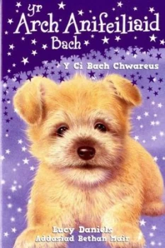 Image of Y Ci Bach Chwareus by Lucy Daniels Paperback