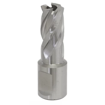 Image of Rotabor Cutter HSS 15MM - Cut Depth 25MM
