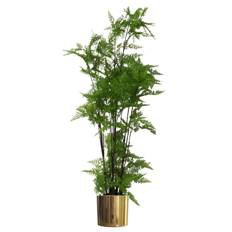 Image of Leaf 150cm Artificial Natural Moss Base Fern Foliage Plant with Gold Metal Planter Green unisex