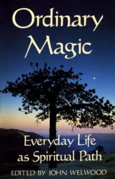 Image of Ordinary Magic by John Welwood Book