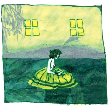 Image of Animal Collective - Prospect Hummer Vinyl