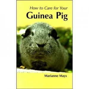 Image of How to Care for Your Guinea Pig by Marianne Mays Paperback