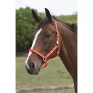 Image of Roma Breakaway Headcollar - Brown
