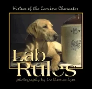 Image of lab rules