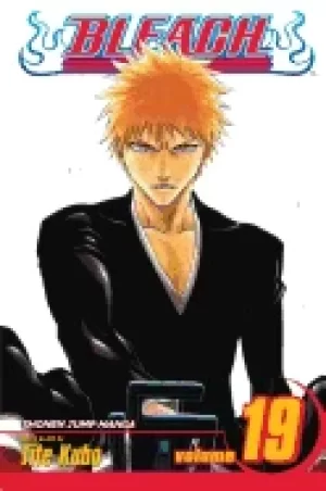 Image of bleach vol 19 19