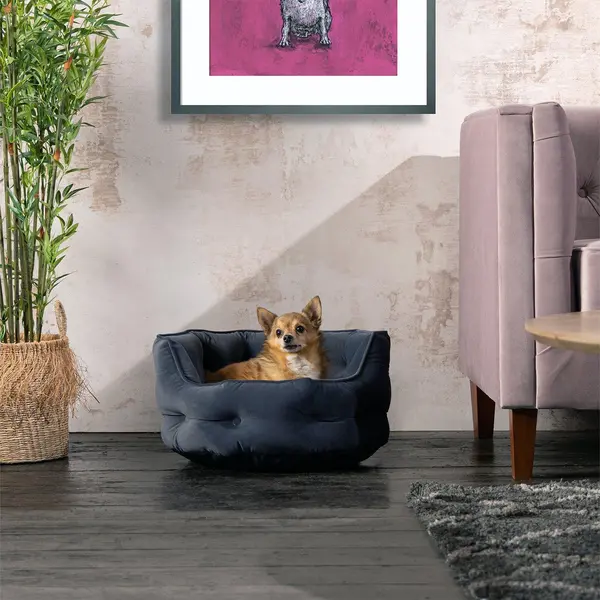 image of Bunty Monarch Dog Bed Dark Grey