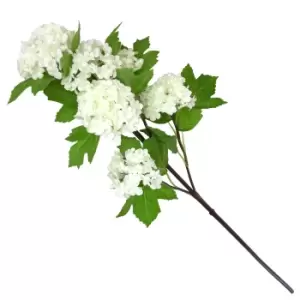 Image of Viburnum White