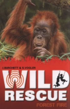 Image of Forest Fire by Jan Burchett and Sara Vogler Paperback
