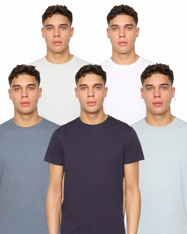 Image of Duck&Cover Mens Demtare T-Shirt 5pk Size: Small Multicolor Male S