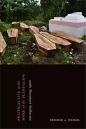 Image of political life in the wake of the plantation sovereignty witnessing repair