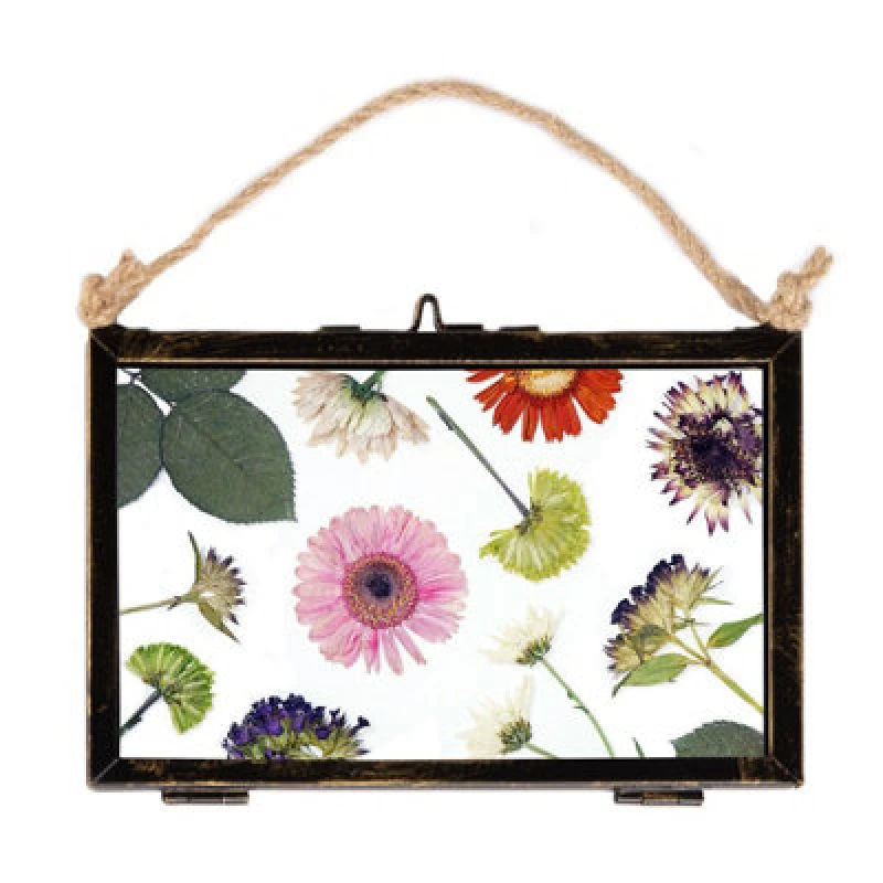 Image of Nicola Spring Hanging Metal Photo Frame - 6" x 4" - Black Black