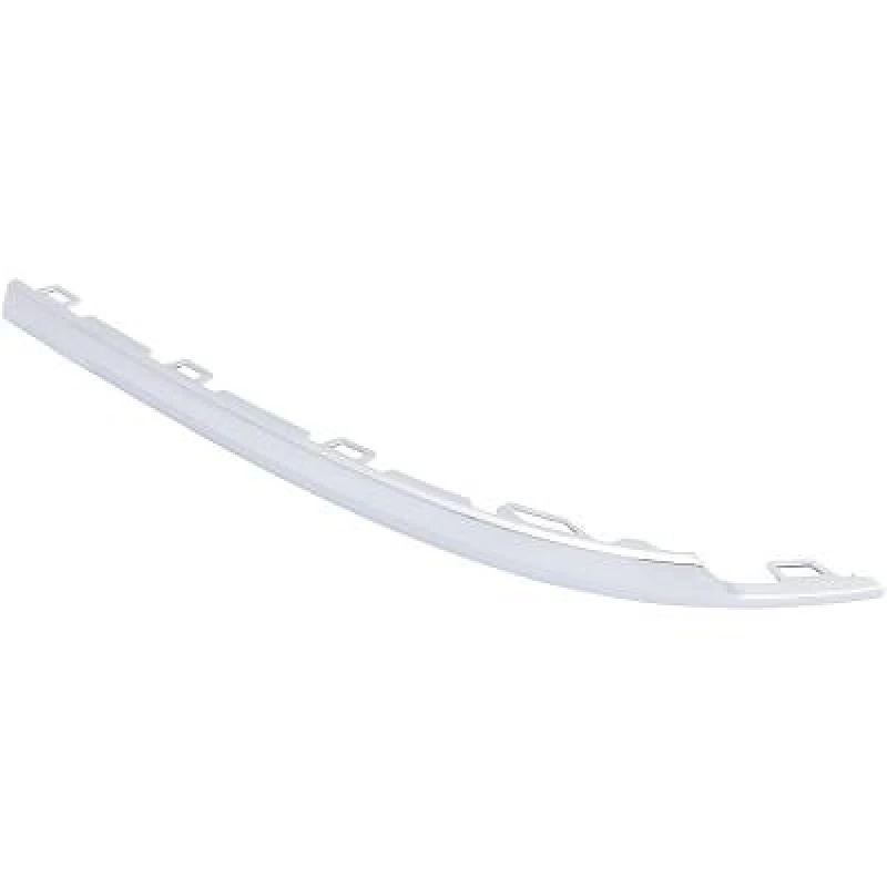 Image of Bumper moulding DIEDERICHS 2256066