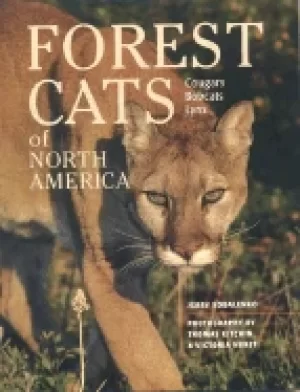 Image of forest cats of north america