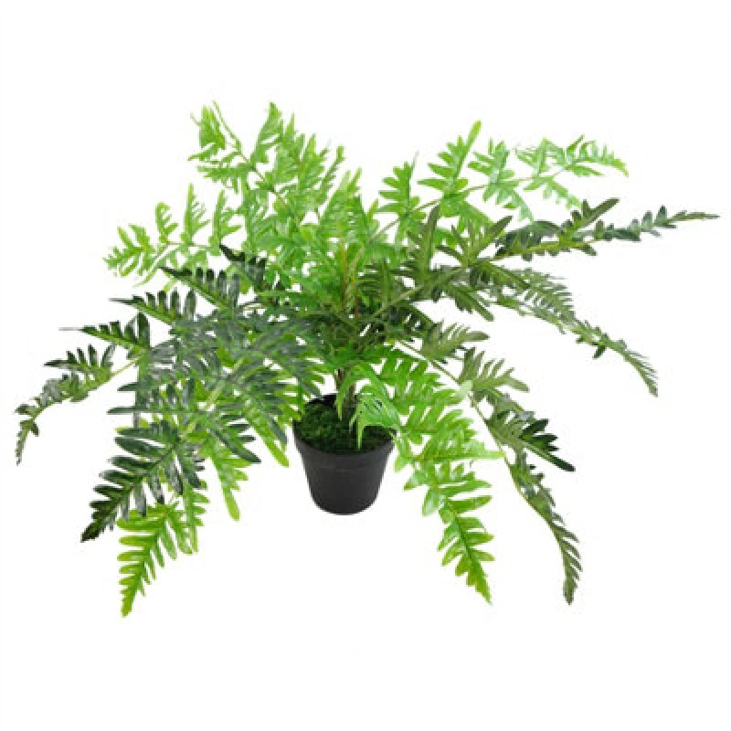 Image of Leaf 50cm Luxury Artificial Evergreen Fern Plant Green
