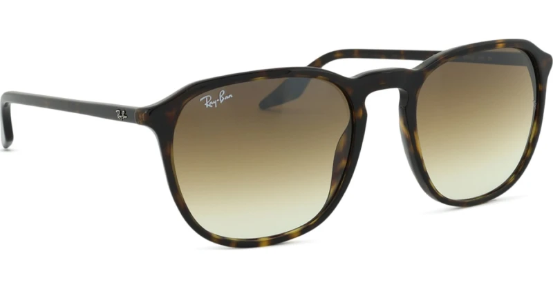 Image of Ray-Ban 0Rb2203 Square Sunglasses Brown VV8SF Male