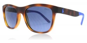 Image of Polo PH4120 Sunglasses Yellow Havana 561980 55mm