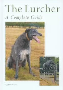 Image of The lurcher by Jon Hutcheon