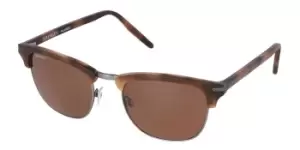 image of Serengeti Sunglasses Alray 8946