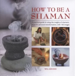 Image of How to be a shaman by Will Adcock