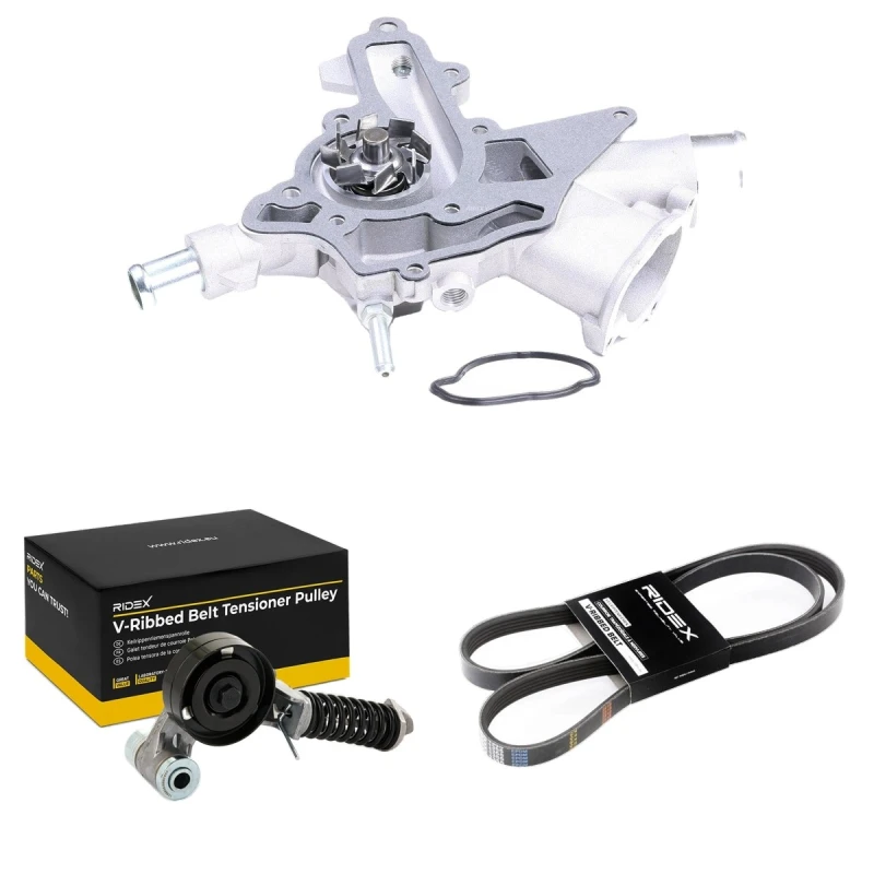 Image of RIDEX 4172P0100 Water Pump + V-Ribbed Belt Kit with gasket/seal, without sensor Water Pump + V-Ribbed Belt Kit (4172)